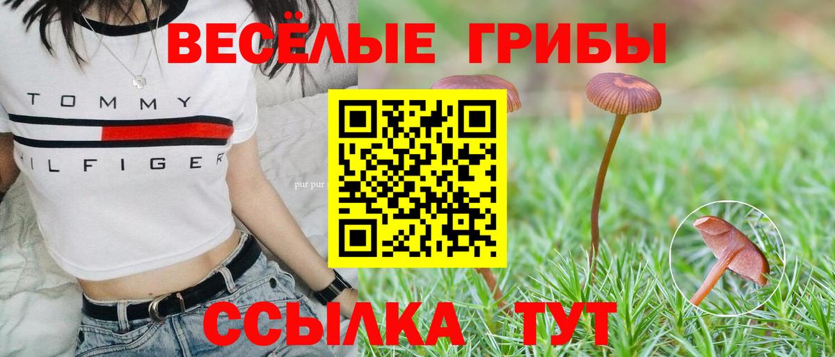 Конаково  Галлюциногенные грибы Psilocybe  Вход с VPN 