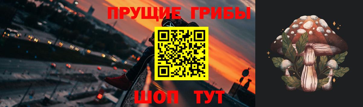 Галлюциногенные грибы Конаково